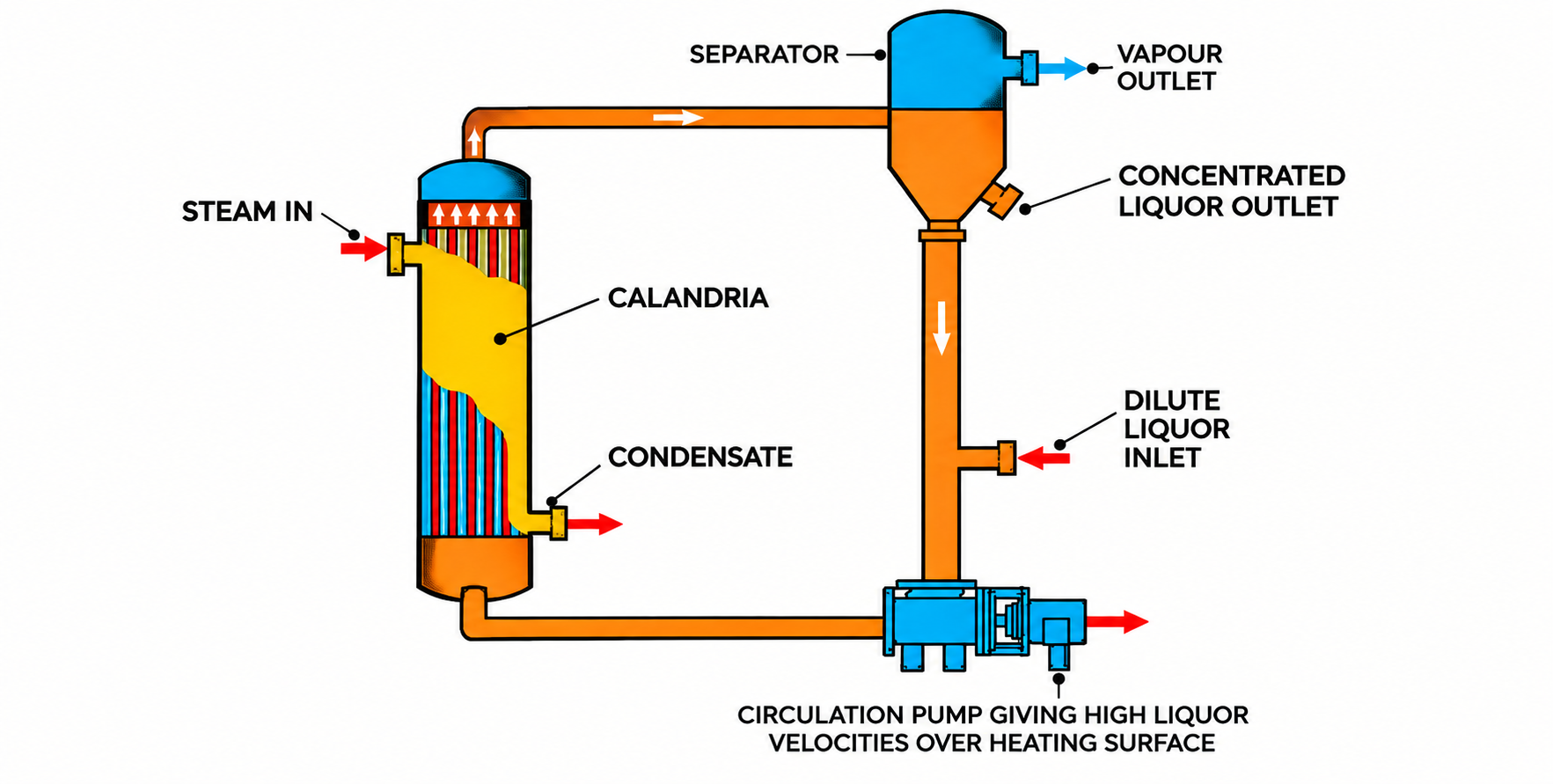 Forced Circulation Evaporator Schematic